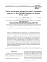 Whole mitogenome sequencing refines population structure of the Critically Endangered sawfish Pristis pristis