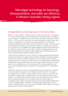 Microalgae technology for bioenergy, biosequestration, and water use efficiency in Western Australian mining regions
