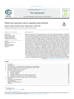Wheat leaf senescence and its regulatory gene network