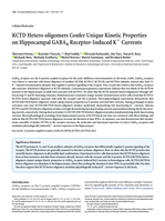 KCTD Hetero-oligomers confer unique kinetic properties on Hippocampal GABA B Receptor-Induced K + Currents