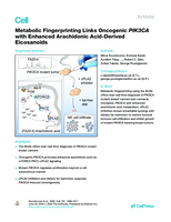 Metabolic Fingerprinting Links Oncogenic PIK3CA with Enhanced Arachidonic Acid-Derived Eicosanoids