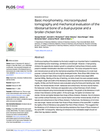 Basic morphometry, microcomputed tomography and mechanical evaluation of the tibiotarsal bone of a dual-purpose and a broiler chicken line