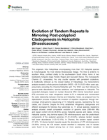 Evolution of tandem repeats Is mirroring Post-polyploid Cladogenesis in Heliophila (Brassicaceae)