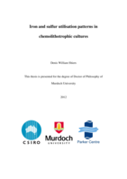 Iron and sulfur utilisation patterns in chemolithotrophic cultures