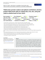 Multivariate genomic analysis and optimal contributions selection predicts high genetic gains in cooking time, iron, zinc, and grain yield in common beans in East Africa