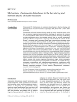 Mechanisms of autonomic disturbance in the face during and between attacks of cluster headache