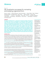 3D visualization processes for recreating and studying organismal form