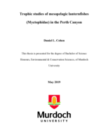 Trophic studies of mesopelagic lanternfishes (Myctophidae) in the Perth Canyon