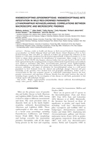Knemidokoptinid (Epidermoptidae: Knemidokoptinae) mite infestation in wild red-crowned parakeets (cyanoramphus novaezelandiae): Correlations between macroscopic and microscopic findings