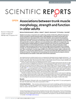 Associations between trunk muscle morphology, strength and function in older adults