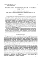 Macrofauna production in an estuarine mud-flat