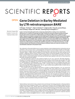Gene Deletion in Barley Mediated by LTR-retrotransposon BARE
