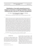 Distribution of juvenile penaeid prawns in mangrove forests in a tropical Australian estuary, with particular reference to Penaeus merguiensis