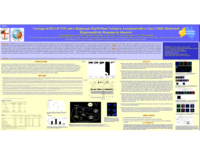 Carriage of HLA-B*5701 and a haplotypic Hsp70-Hom variant is associated with a Class I MHC-restricted hypersensitivity response to abacavir