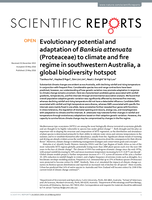 Evolutionary potential and adaptation of Banksia attenuata (Proteaceae) to climate and fire regime in southwestern Australia, a global biodiversity hotspot