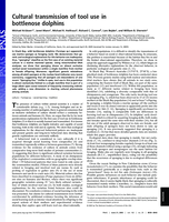 Cultural transmission of tool use in bottlenose dolphins