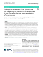 Differential responses of the rhizosphere microbiome structure and soil metabolites in tea (Camellia sinensis) upon application of cow manure
