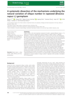 A systematic dissection of the mechanisms underlying the natural variation of silique number in rapeseed ( Brassica napus L.) germplasm