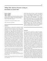 Telling tails: Selective pressures acting on investment in lizard tails