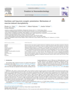 Exerkines and long-term synaptic potentiation: Mechanisms of exercise-induced neuroplasticity