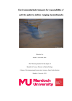 Environmental determinants for repeatability of activity patterns in free-ranging elasmobranchs