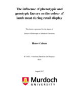 The influence of phenotypic and genotypic factors on the colour of lamb meat during retail display