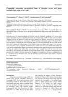 Compatible arbuscular mycorrhizal fungi of Jatropha curcas and spore multiplication using cereal crops