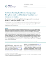 Evolution of a wild-plant tobamovirus passaged through an exotic host: Fixation of mutations and increased replication