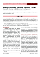 Potential functions of the human homeobox TGIFLX/Y genes in normal and abnormal development