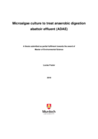 Microalgae culture to treat anaerobic digestion abattoir effluent (ADAE)