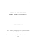 Detection and characterization of Bartonella species in Western Australia