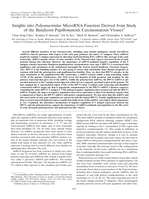 Insights into Polyomaviridae MicroRNA Function Derived from Study of the Bandicoot Papillomatosis Carcinomatosis Viruses