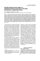 Uniform strobilar development of Echinococcus multilocularis in vitro from protoscolex to immature stages