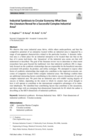 Industrial Symbiosis to Circular Economy: What Does the Literature Reveal for a Successful Complex Industrial Area?