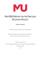 Pre-feed report on the Pink Lake recovery project