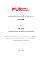 Mass transfer promotion in in-situ recovery processing