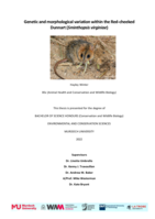 Genetic and morphological variation within the Red-cheeked Dunnart (Sminthopsis virginiae)