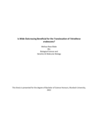 Is Wide Outcrossing Beneficial for the Translocation of Tetratheca erubescens?
