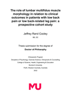 The role of lumbar multifidus muscle morphology in relation to clinical outcomes in patients with low back pain or low back-related leg pain: A prospective cohort study