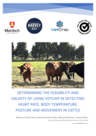 Determining the feasibility and validity of using Vetchip in detecting heart rate, body temperature, posture and movement in cattle