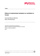 Effects of endotracheal intubation on ventilation in horses