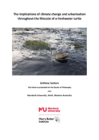 The implications of climate change and urbanisation throughout the lifecycle of a freshwater turtle