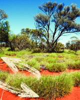 Ngaparrtji ngaparrtji- Two-way Science education in the northern Goldfields