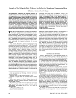 Anemia of the Belgrade Rat: Evidence for Defective Membrane Transport of Iron