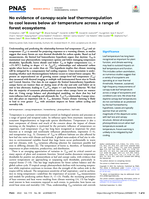 No evidence of canopy-scale leaf thermoregulation to cool leaves below air temperature across a range of forest ecosystems
