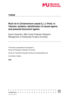 Root rot in Cinnamomum cassia (L.) J. Presl. in Vietnam: isolation, identification of causal agents and potential biocontrol agents