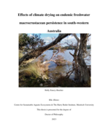 Effects of climate drying on endemic freshwater macrocrustacean persistence in south-western Australia
