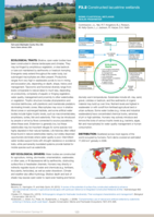F3.2 Constructed lacustrine wetlands