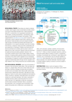 F2.6 Permanent salt and soda lakes