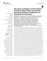 Microbes as Engines of Ecosystem Function: When Does Community Structure Enhance Predictions of Ecosystem Processes?